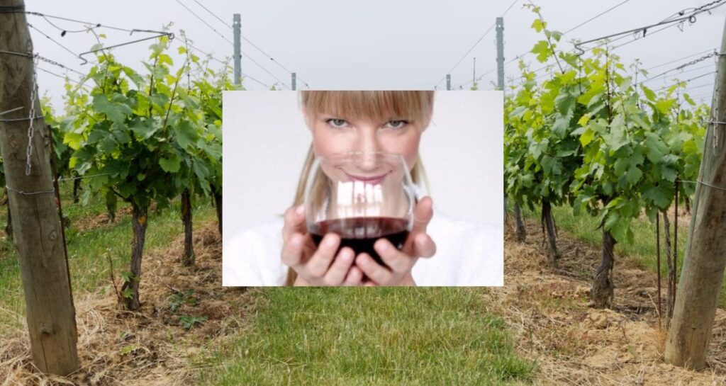 femme verre vin rouge vigne
