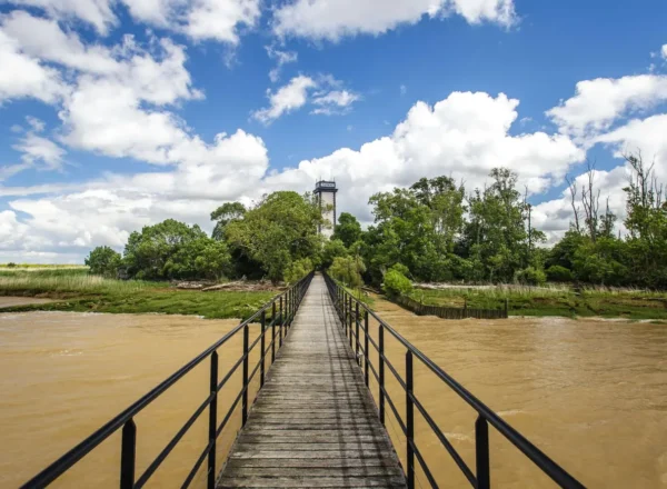 île de patiras phare medoc