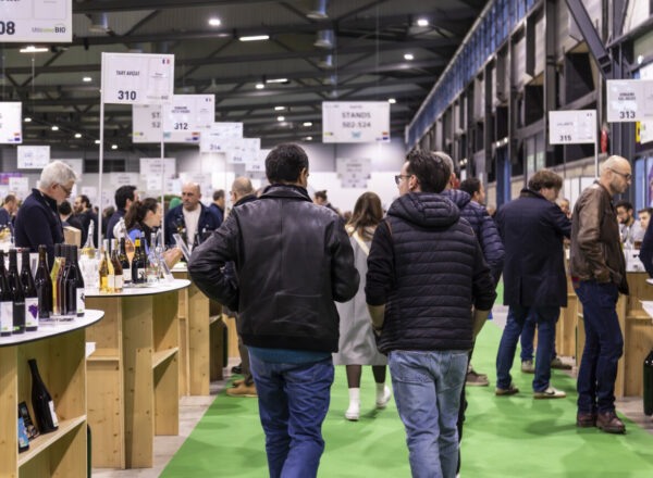 allée du salon millésime bio