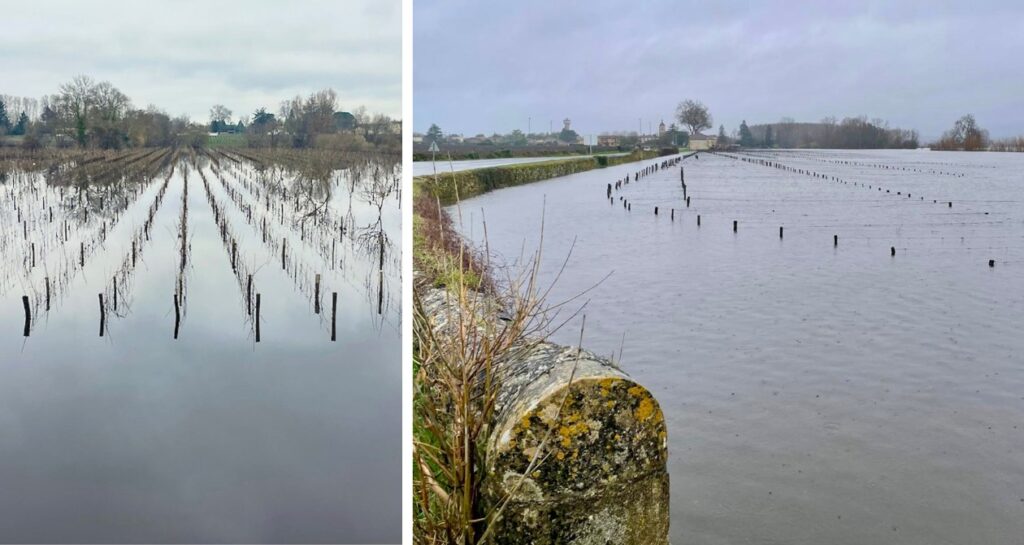 Laclotte-Cazalis ©DR