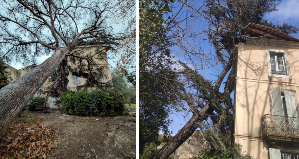 Massagnier La Mignarde ©DR