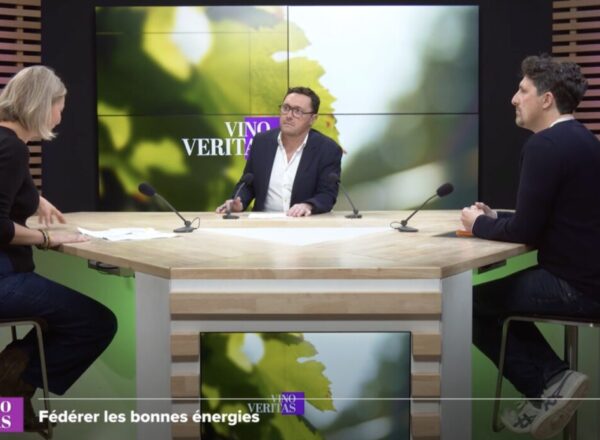 Vino Veritas Fevrier 2026 TV7