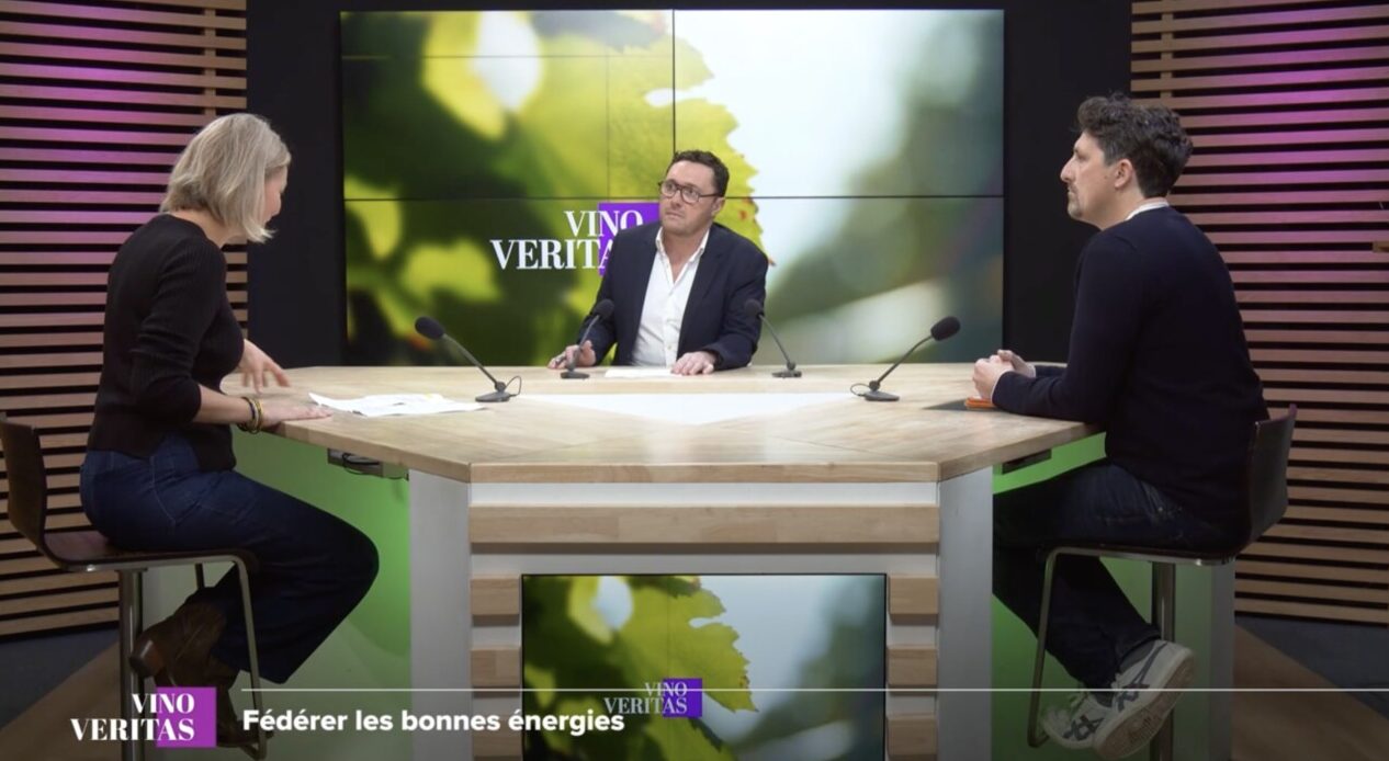 Vino Veritas Fevrier 2026 TV7