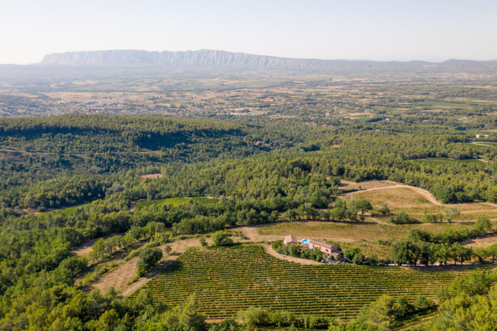 vigne provence sainte victoire