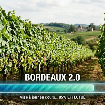 vignoble bordelais
