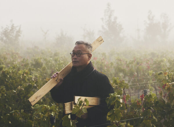 L'artiste Tadashi Kawatama dans les vignes de la Maison Ruinart