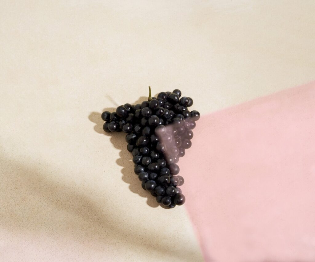 raisin pinot noir grappe veuve clicquot