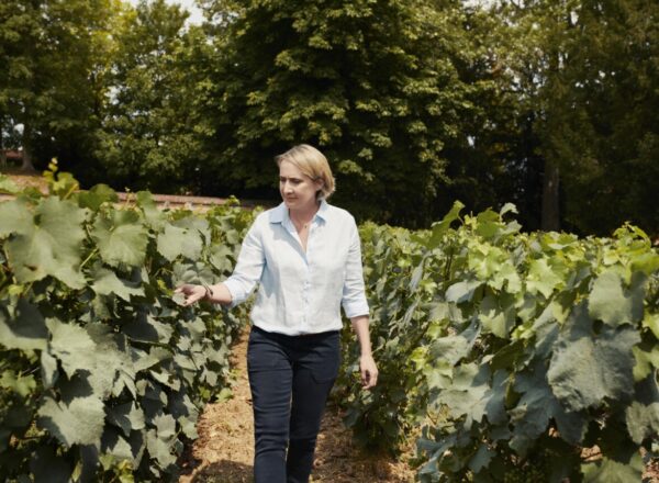 Julie Cavil, chef de caves de la Maison Krug