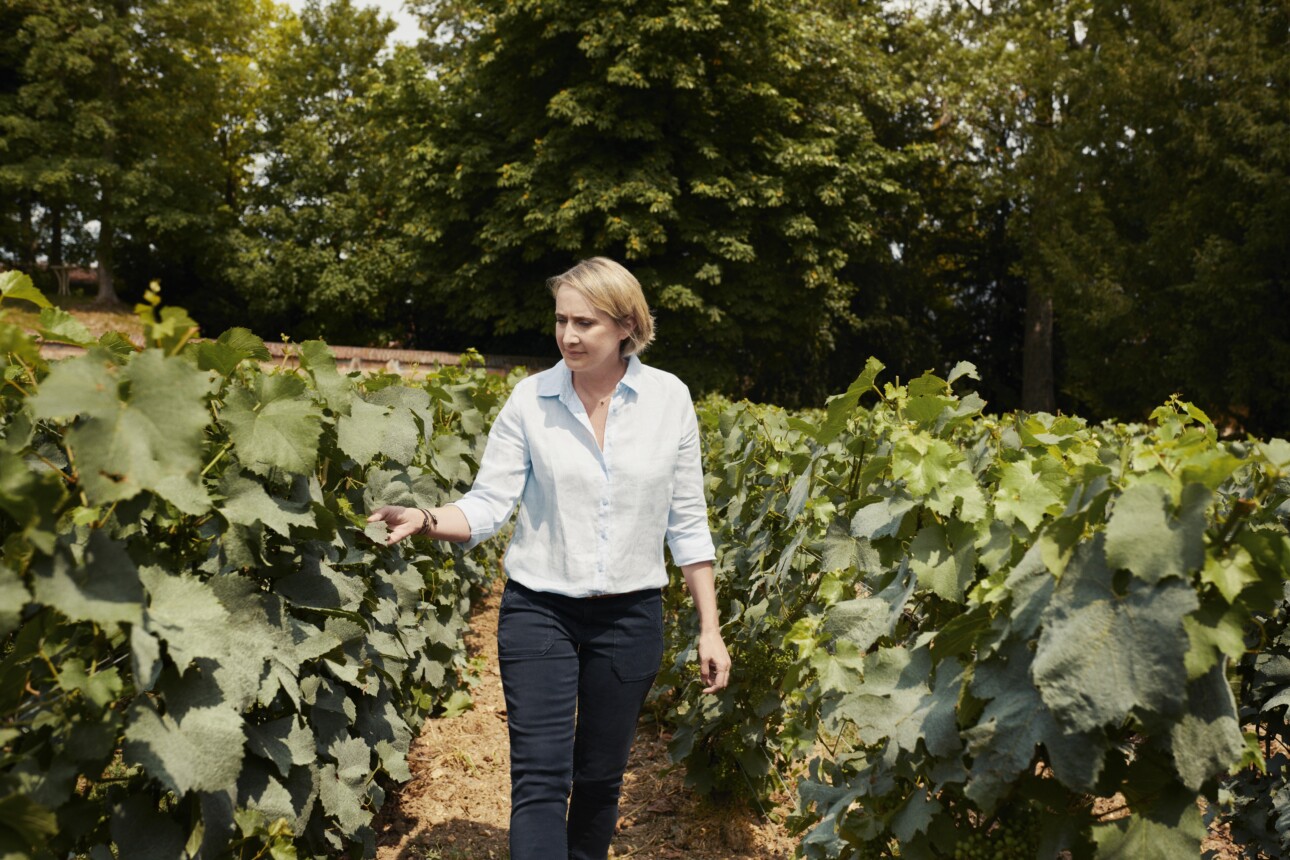 Julie Cavil, chef de caves de la Maison Krug