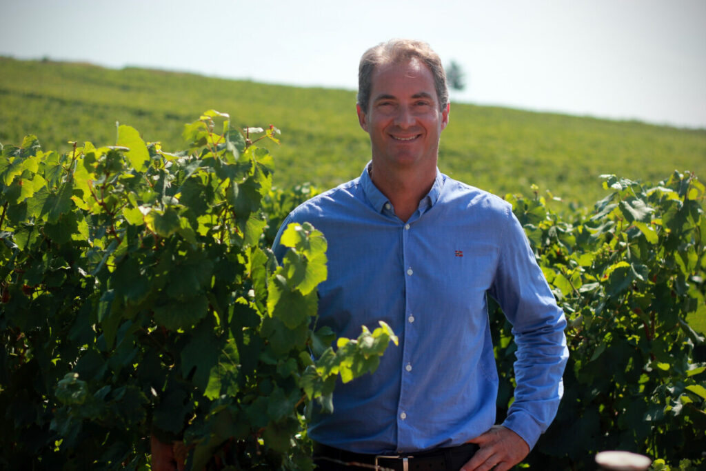 portrait vignes stéphane garrigue directeur général de la cave Lugny