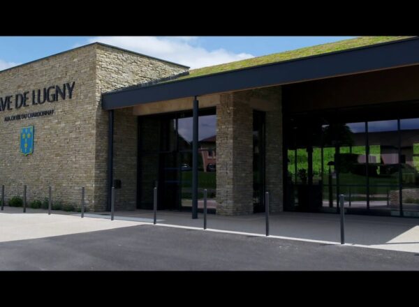 boutique cave de lugny bourgogne chardonnay
