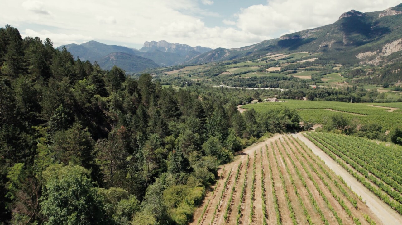 Clairette de Die : un territoire à explorer