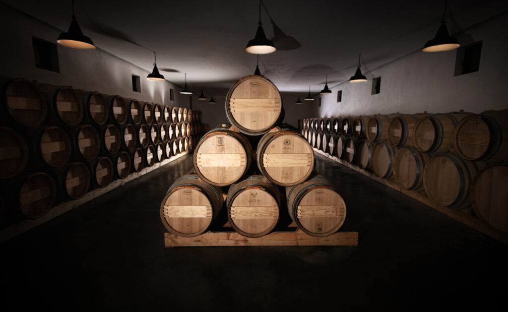 Barriques dans un chai