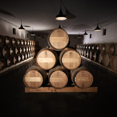 Barriques dans un chai