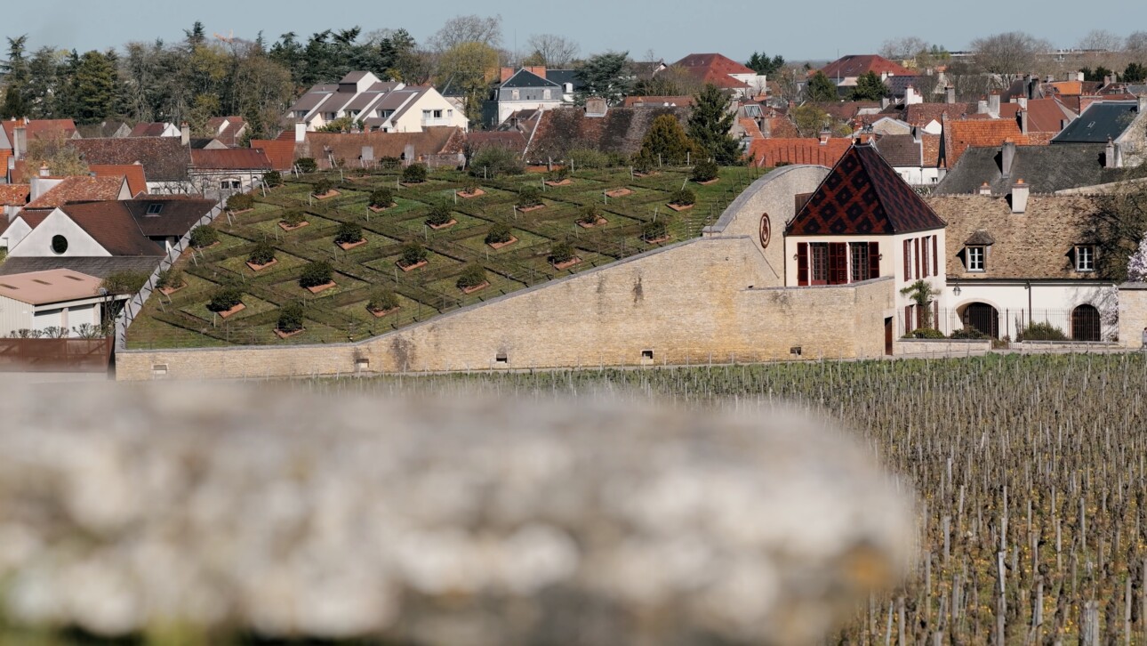 Les Ursulines : quand patrimoine et œnotourisme se rencontrent en Bourgogne