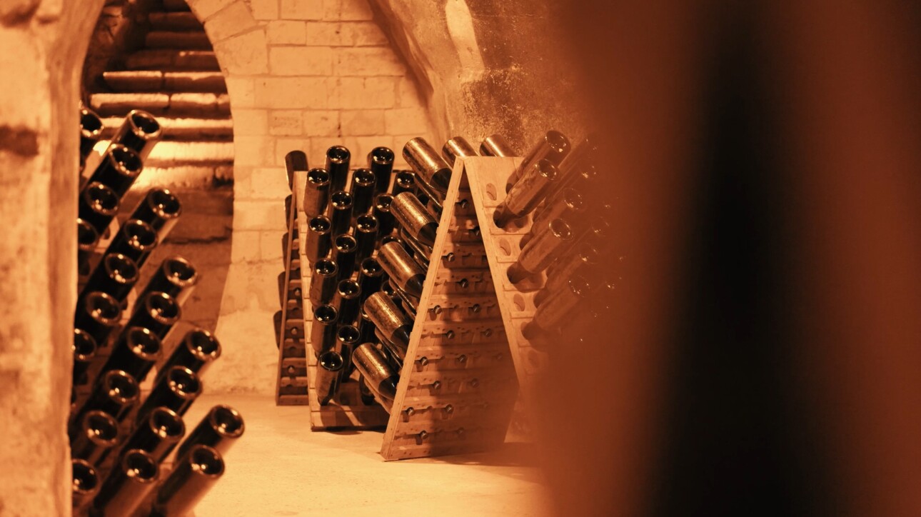 Champagne Taittinger : une expérience d’exception au cœur de la Champagne