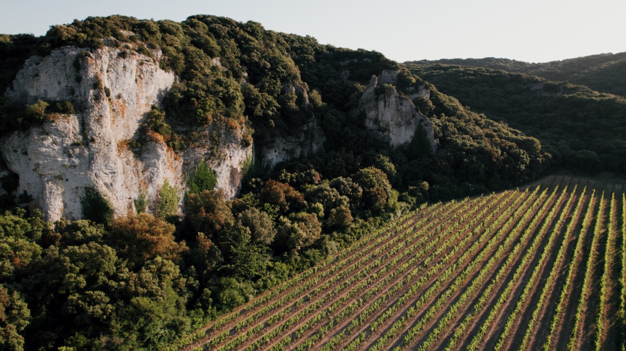 AOC Lirac : immersion au cœur d’un vignoble grandeur nature !