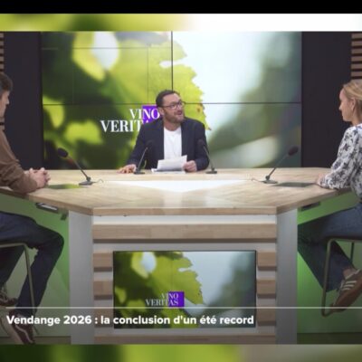 Emission Vino Veritas (TV7), vendanges 2026 à Bordeaux