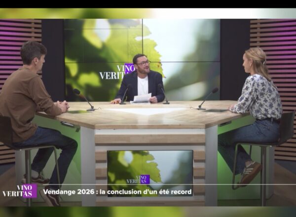 Emission Vino Veritas (TV7), vendanges 2026 à Bordeaux