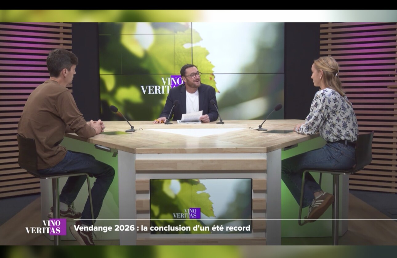 Emission Vino Veritas (TV7), vendanges 2026 à Bordeaux