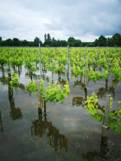 ChateaudeRolland-Inondations (6)